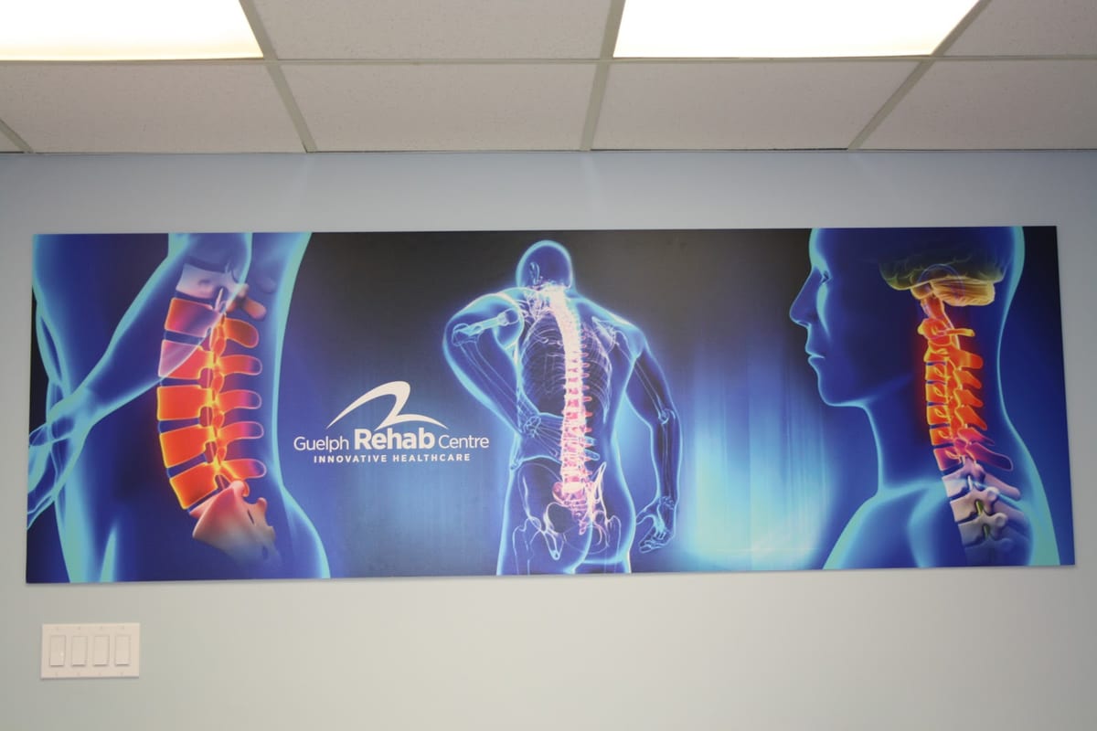 The spine and nervous system wall mural inside Guelph Rehab Centre